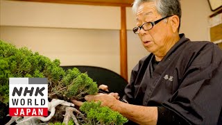 Download lagu Bonsai Master: Kobayashi Kunio - FRONTRUNNERS mp3 Download lagu Bonsai Master: Kobayashi Kunio - FRONTRUNNERS mp3