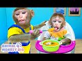 Macaco Rio finge ser babá para cuidar do macaquinho | Animal Monkey Rio