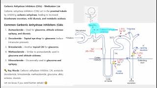 CAI, NAHCO3, proximal tubule, bicarbonate excretion,  acetazolamide, dorzolamide