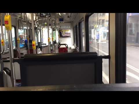 Sydney Buses 2043 ST - Mercedes-Benz O500LE Euro 5 (ZF)