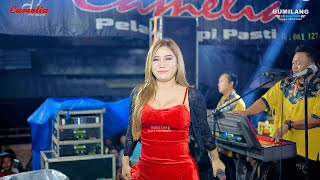Download lagu CAMELIA MUSIC - 1001 TYPES - EVIS RENATA - WEDDING IKA & HASAN - GEMPOLSONGO MIJEN DEMAK mp3