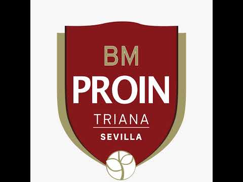 Cajasol Sevilla Bm Proin vs Dolmenes Antequera