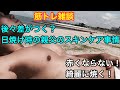 【筋トレ雑談】後々に差がつく!日焼けのケアについて