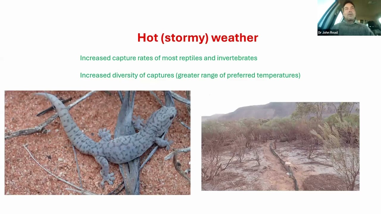 ARRP webinar 2, 2024 - Wildlife Survey Trapping and Transport