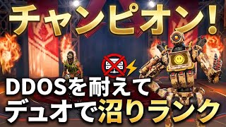 【PC APEX】DDOSをくらってもデュオで勝ってしまう