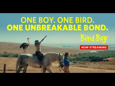 Bird Boy