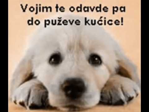 Jelena Jevremovic i Miki Jevremovic - Ljubav po sebi je greh