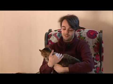 download lagu mp3 mp4 Auberge Pour Chiens, download lagu Auberge Pour Chiens gratis, unduh video klip Auberge Pour Chiens