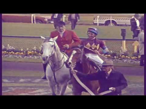 1994 MRC Caulfield Stakes _ ROUGH HABIT