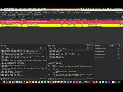 Broken Access Control Vulnerabilities | FirstBlood v1 | Bug Bounty Service