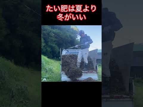 冬に堆肥が湿りすぎるのはなぜですか?原因と解決策！  庭園