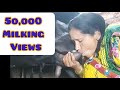 Viral Milk Making ️ Vlog
