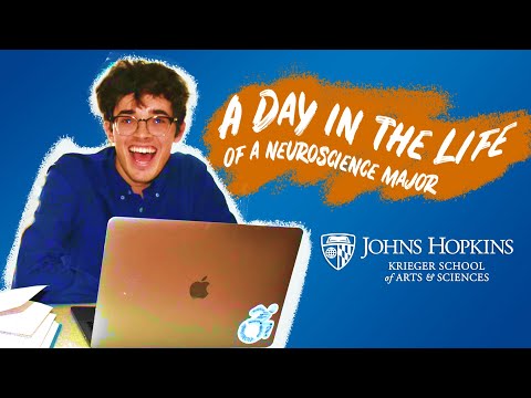 Youtube Video thumbnail for A Day in the Life of a Neuroscience Student