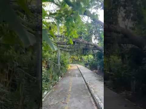 Un día en San Jerónimo, Antioquia, Colombia