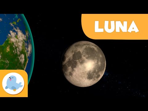 La Luna, il satellite della Terra - Il Sistema Solare in 3D per bambini