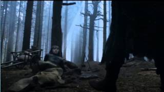 302- Trailer