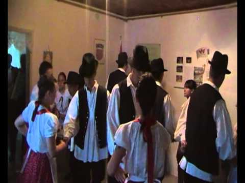 Nastup u Jankovcima 2011