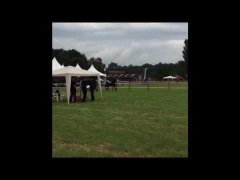 Abc-tje van W ( Gerben X Lolke)