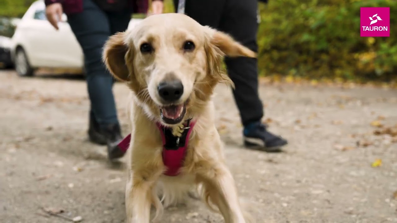 Leśne Warsztaty z TAURONEM [RELACJA Z WYDARZEŃ]