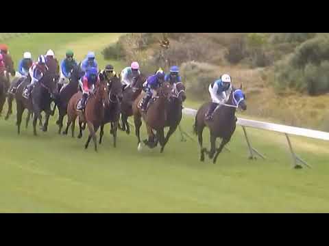 Pretty Young Thing - VASCO DA GAMA PRIX DU CAP