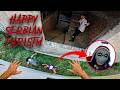 SERBIAN DANCING LADY REAL LIFE ESCAPE 46 0 Horror Parkour Pov Short Bubbles 3Run