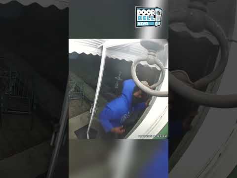 Brick Thru The Window