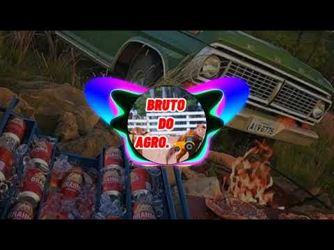 SER SOLTEIRO É FODA -- DJ Lucas Beat e Pedro Paulo e Alex (com grave).