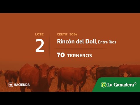 Lote Terneros en Rincon del Doll
