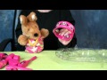 Dora The Explorer Rocks Percussion Musical Instrument Set With WallyRoo