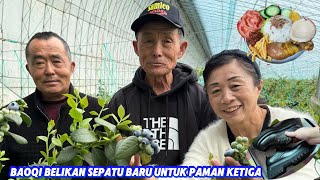 Download lagu KALAP PANEN BLUEBERRY! HASILNYA LANGSUNG MASAK NASI UDUK BETAWI! 😋  mp3