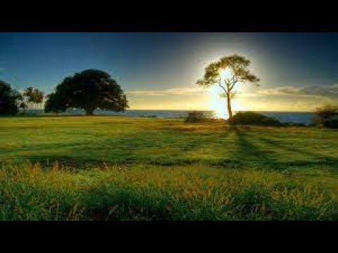 4K Beauty Of Nature   Drone Aerial View