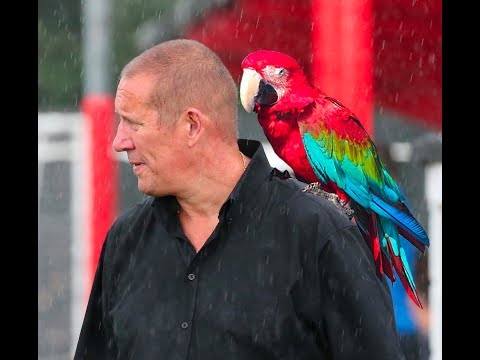 Lingfield FC 'Presentation Night' DIXIE STYLE