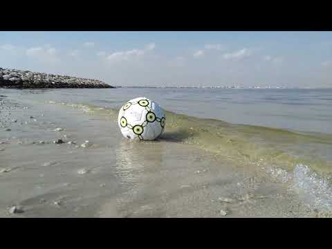 ما أجمل الجلوس على شاطئ البحر 😃