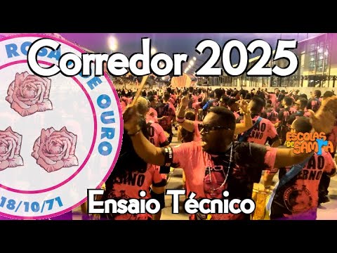 Rosas de Ouro 2025 - Pista/Corredor da Bateria com Identidade #BotaOFone #PioneiroNoVídeoDosBreques