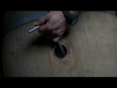 Melges 24 World Championship