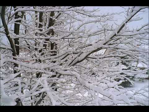 video image