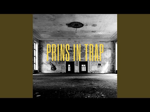 Prins in trap