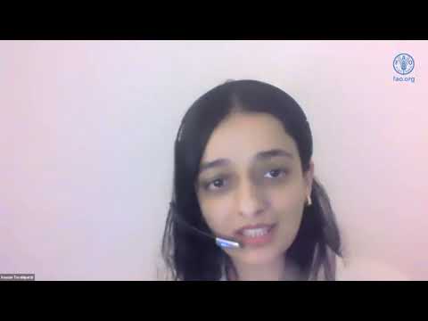 Reporting on adaptation in the agriculture and land use sectors under the Paris Agreement