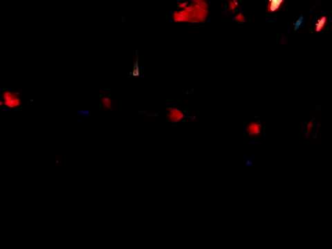 Muzika Poludelih-Live in Akademija,2006