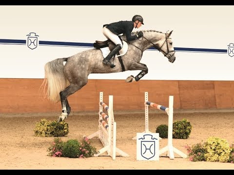 119 | Coco v. Connor - Colman