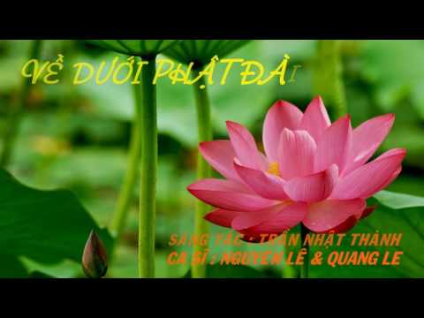 Về dưới Phật đài - Quang Lê