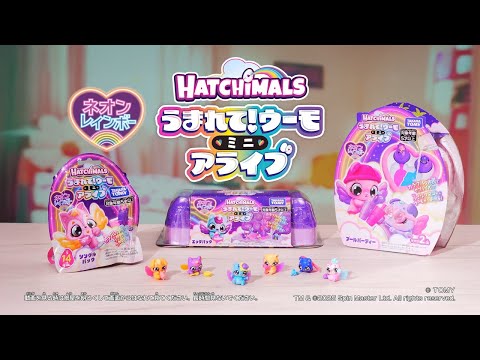 【ウーモミニ ネオンレインボー】カラフルなお水でサプライズ！？シングルパック／エッグパック／プールパーティーで遊ぼう♪