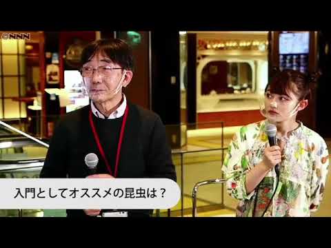 井上咲楽、昆虫食の楽しみ方を提案!