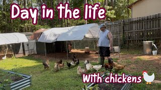 Spending the Day with My Chickens 🐓 | How I Keep Them Cool in Extreme Heat