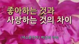 (좋은글) 좋아하는 것과 사랑하는 것의 차이