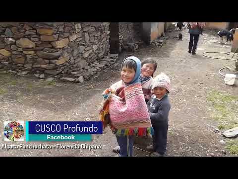Florencia chipana alpaca ponchochata