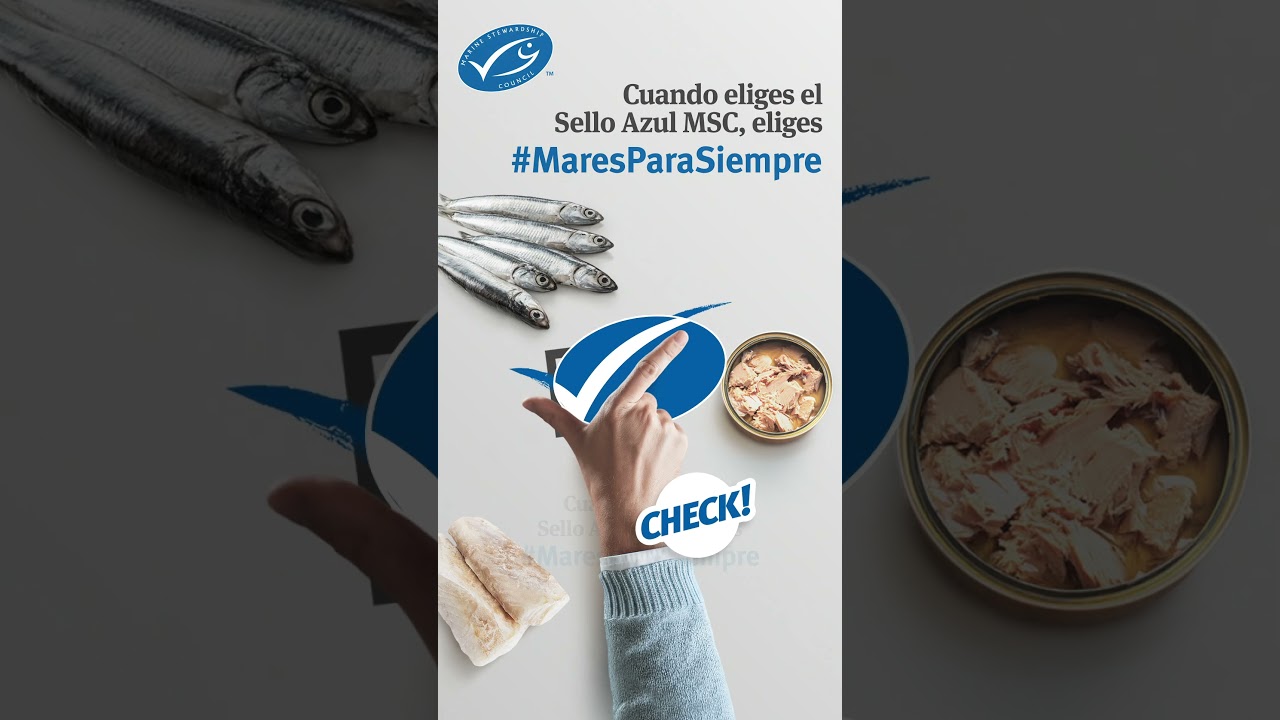 Cuando eliges el Sello Azul MSC, eliges Mares Para Siempre