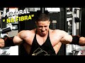 TREINO PARA FIBRAR O PEITO E CRESCER ! | LUAN BODYBUILDER
