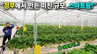 "이게 다 무료..!?" 너무 커서 퀵보드 타고 다닌다는 초호화 스마트팜, 공짜로 사용할 수 있는 이유는? …