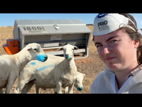 This Seemed Reasonable